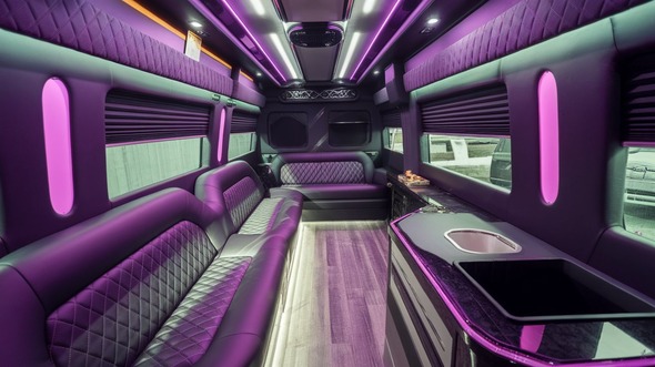 carrollton party bus rental rental