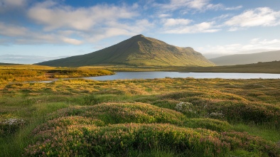 connemara meadow nature preserve