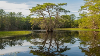 cypress waters