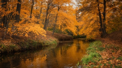 spring creek forest preserve